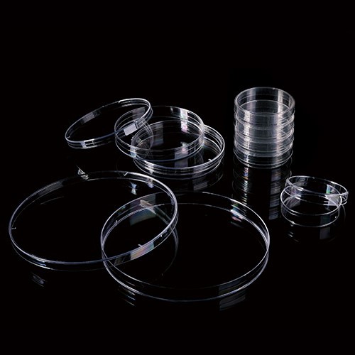 Petri Dishes Petri Dishes