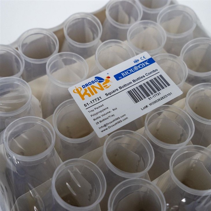 PP/PE Drosophila Bottles
