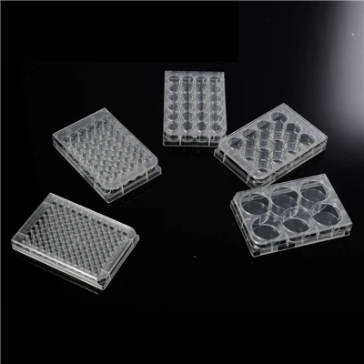 24-Płytki Well Multiwell, PAKOWANIE INDYWIDUALNE