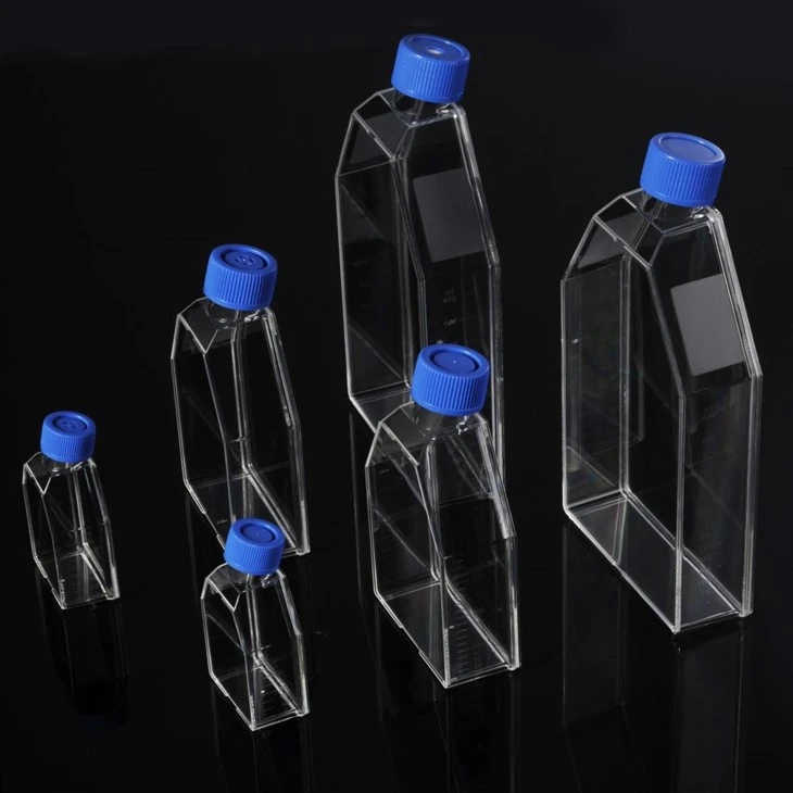 25 Cm², 75 Cm², 175 Cm² Treated Tissue Cell Culture Flask